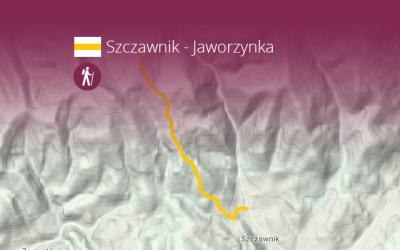 Szczawnik - Jaworzynka