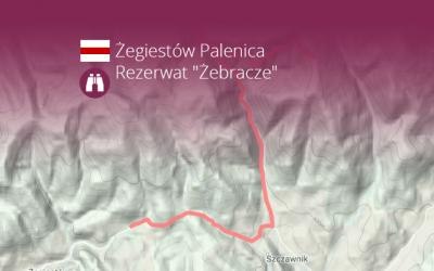 Żegiestów Palenica - Rezerwat 