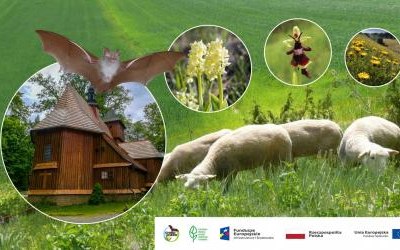 Ochrona zagrożonych gatunków i siedlisk chronionych, w ramach sieci Natura 2000 w Małopolsce