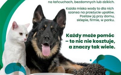 Mały gest wielka moc! Wystaw miskę!