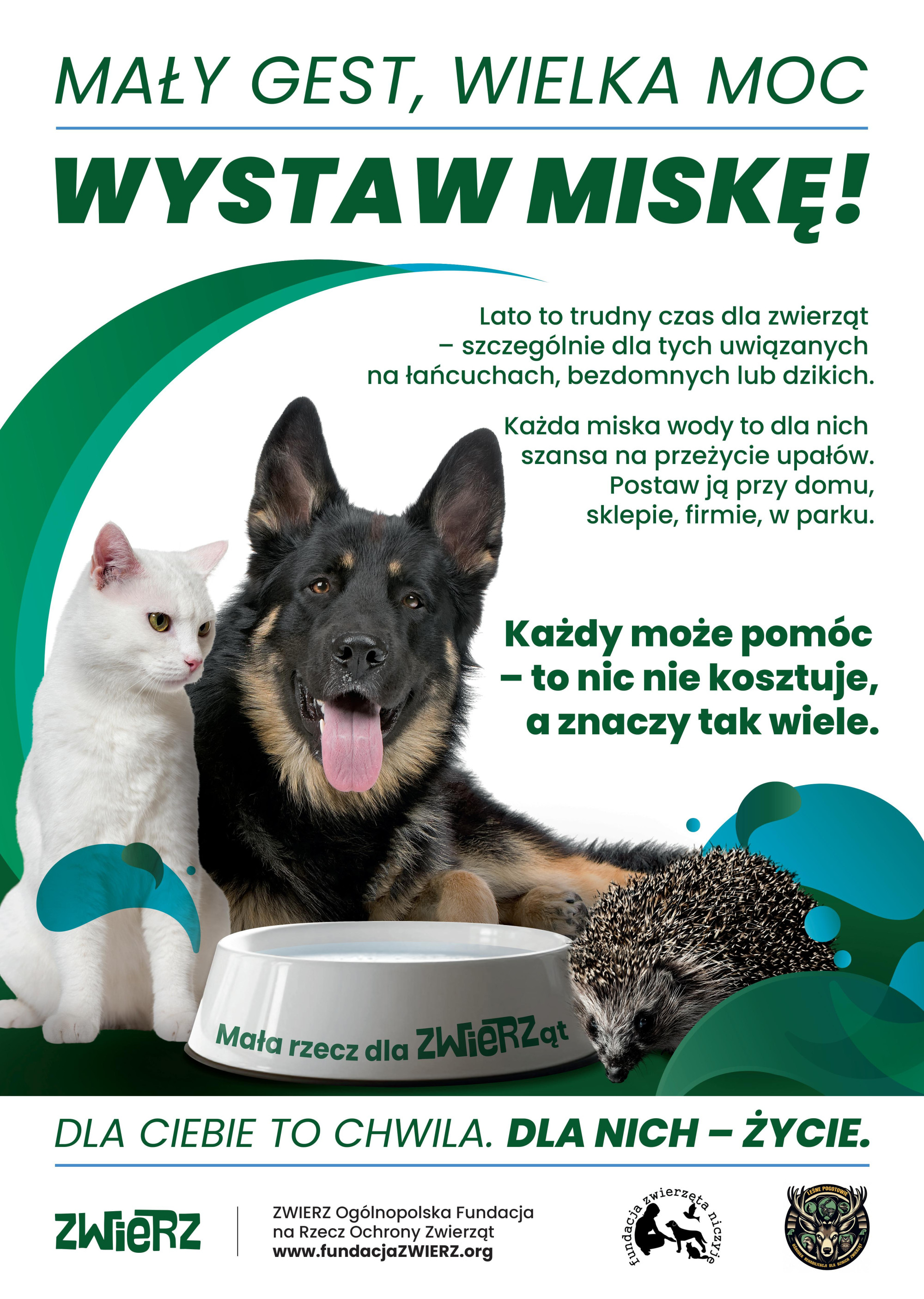 Mały gest wielka moc! Wystaw miskę!