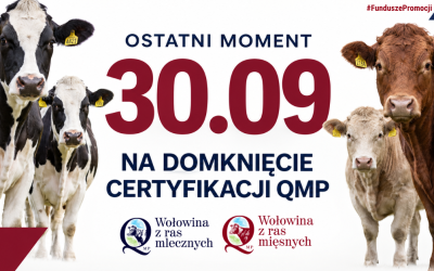 Certyfikat QMP — termin uzyskania upływa 30 września 2026 r.